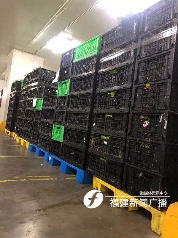 福州朴朴电商创始人(福州朴朴电子商务有限公司地址)