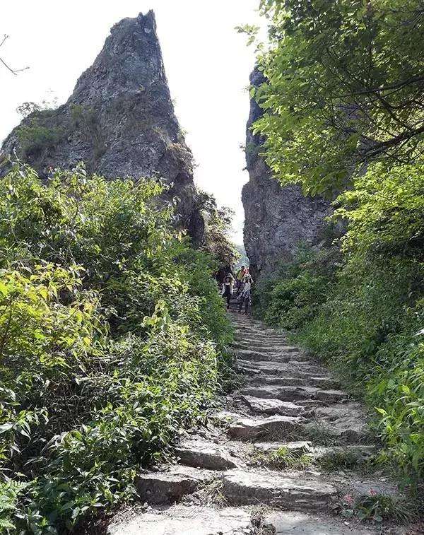 上海古道电商(上海古道电商合伙人)