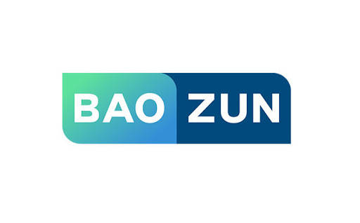 宝尊电商股票(宝尊电商股票奖励)