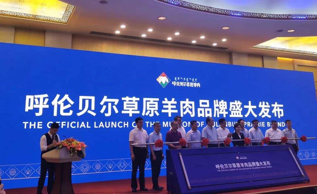 内蒙古电商发展(内蒙古电商发展现状)