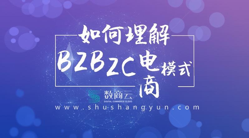 b2c电商平台系统(b2c有哪些电商平台)