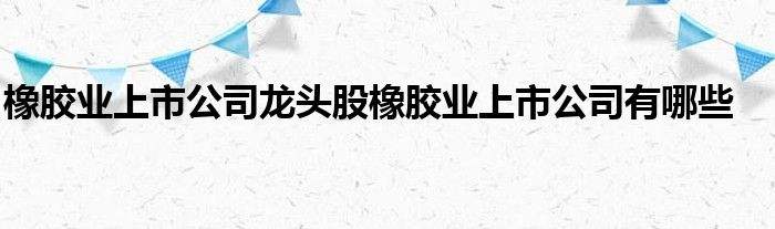 电商股票龙头股有哪些(互联网电商龙头股票有哪些) 电商股票龙头股有哪些(互联网电商龙头股票有哪些)